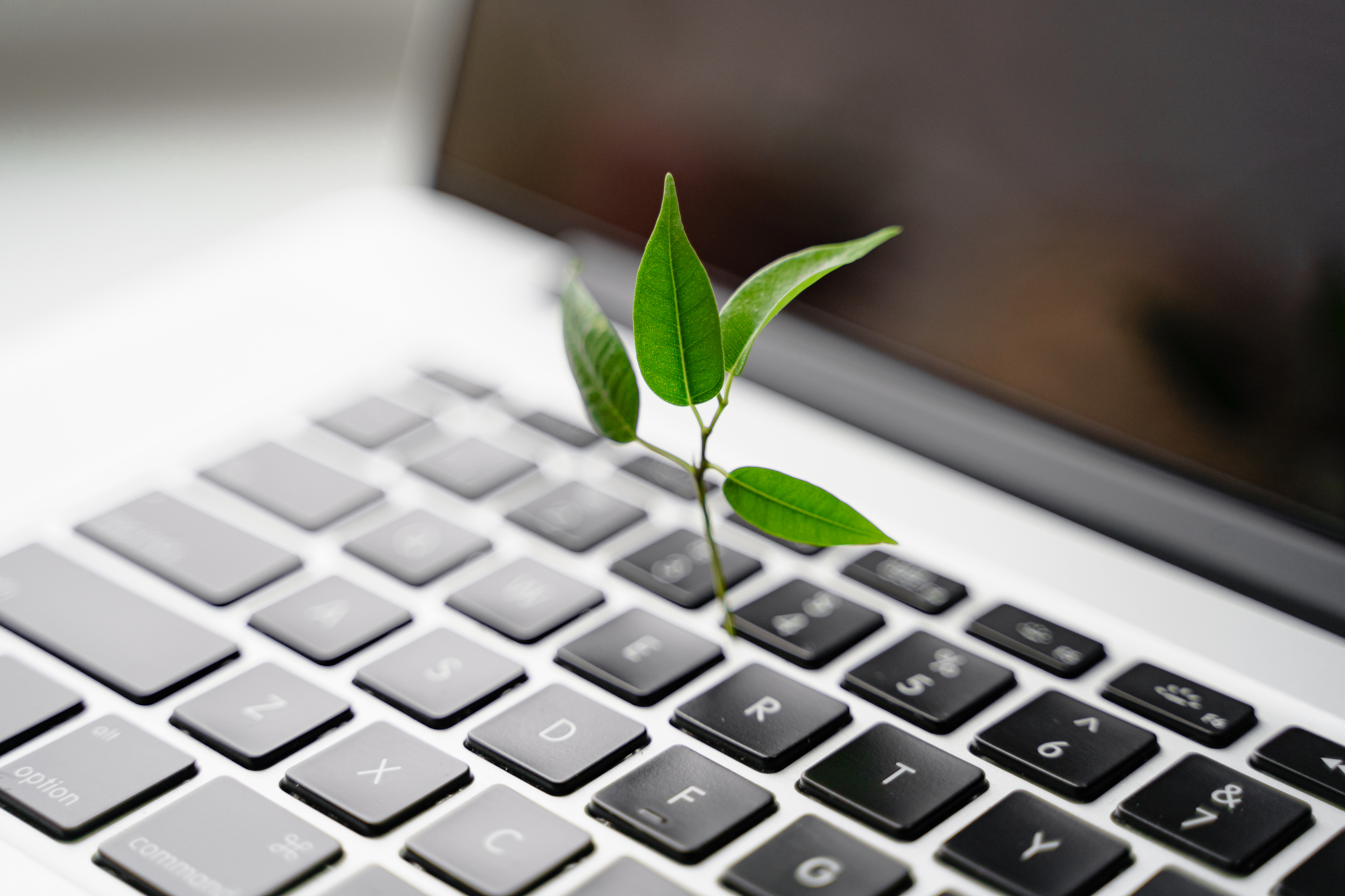 Want Your Company To Lower Its Carbon Footprint Here S What To Do