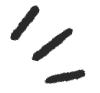 Ot Lines | Ottohub