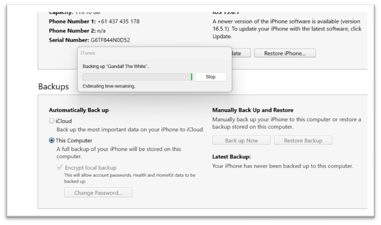 Reso Post 10 | How To Back Up Your Iphone To Your Pc