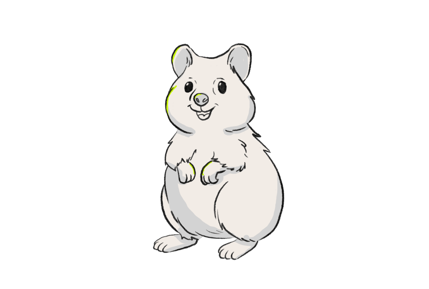 Otto IT Perth