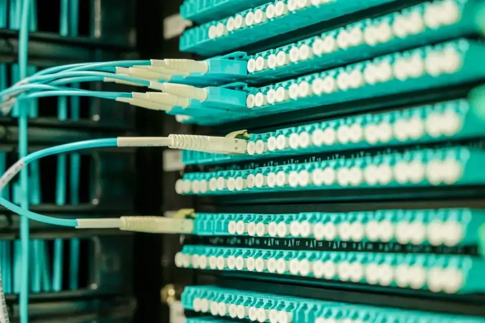network cables plugged into a rack of servers
